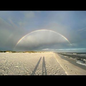 RESERVED FOR RHONDA S- Sand shells driftwood! Straight from the Gulf of Mexico